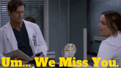Greys Anatomy We Miss You GIF