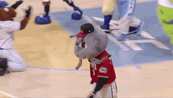 Griddy Muddy The Mudcat GIF