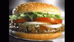 Grilled Burger King GIF