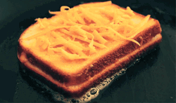 Grilled Cheese Bacon Sandwich GIF