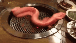 Grilling Alive Eel GIF