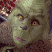 Grinch Close Up GIF