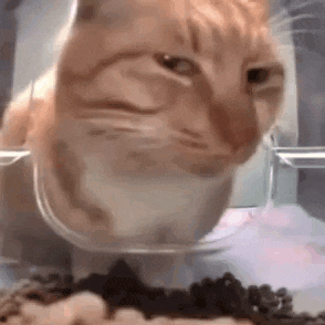 Grinch With Angry Face GIF
