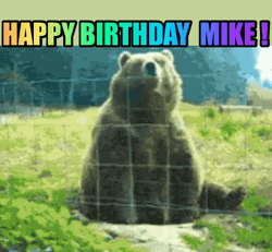 Grizzly Bear Waving Happy Birthday Mike  GIF