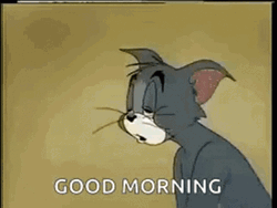 Groggy Tom Eyes GIF
