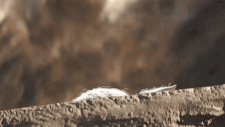 Grogu Star Wars GIF