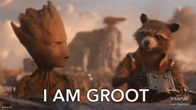 Groot And Rocket From Thor The Dark World GIF