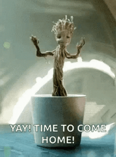 Groot Dancing In A Pot GIF