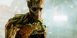 Groot Giving Flower GIF