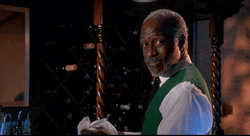 Ground Hog Day Bartender Looking Back GIF