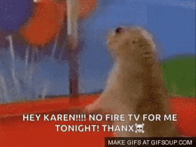 Ground Squirrel: Hey Karen No Fire TV Tonight GIF