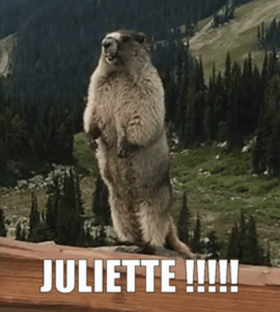 Ground Squirrel On Hind Legs With Juliette Written In White GIF