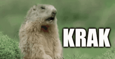 Ground Squirrel Sitting In Grass Mouth Open Saying Krak GIF