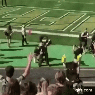 Ground Squirrel Standing On Hind Legs David GIF