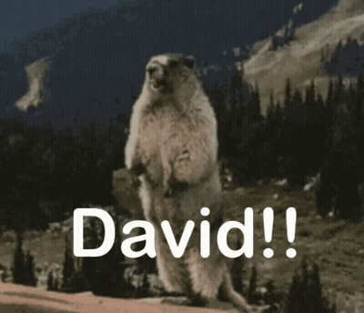 Ground Squirrel Standing On Hind Legs David GIF