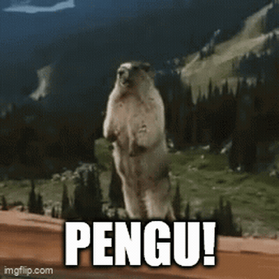 Ground Squirrel Standing On Hind Legs Hola! GIF