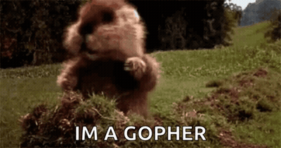 Ground Squirrel Standing On Hind Legs GIF