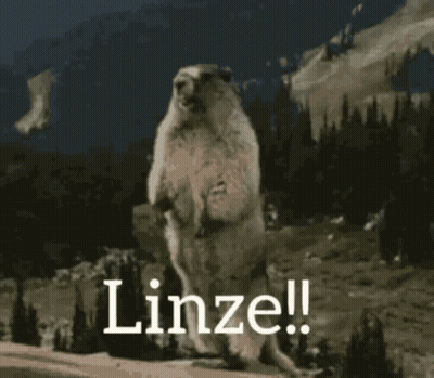 Ground Squirrel Standing On Hind Legs Lenze GIF