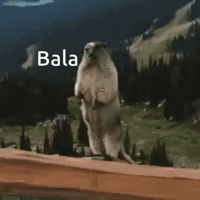Ground Squirrel Standing On Hind Legs Saying Bala GIF