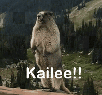 Ground Squirrel Standing On Hind Legs Saying Kailee GIF