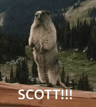 Ground Squirrel Standing On Hind Legs Saying Scott GIF