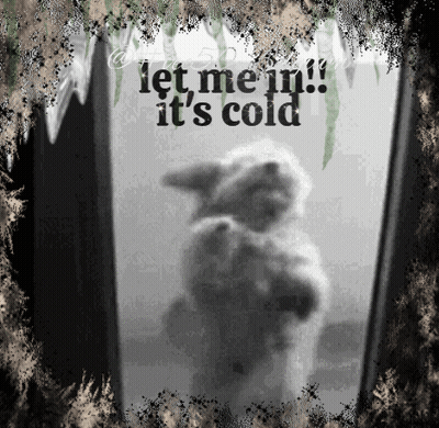Ground Squirrel Standing On Hind Legs Saying Wally GIF