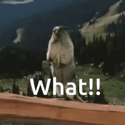 Ground Squirrel Standing On Hind Legs Saying What GIF