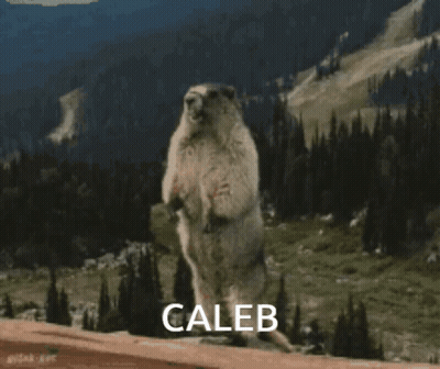 Ground Squirrel Standing On Hind Legs With Caleb GIF