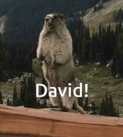 Ground Squirrel Standing On Hind Legs With David GIF