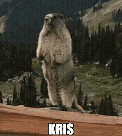 Ground Squirrel Standing On Hind Legs With Kris GIF