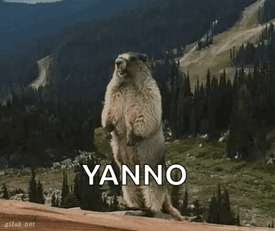 Ground Squirrel Standing On Hind Legs Yanno GIF