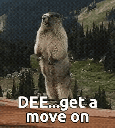Ground Squirrel Standing On Railing Saying Dee Get A Move On GIF