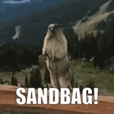 Ground Squirrel Standing Sandbag GIF