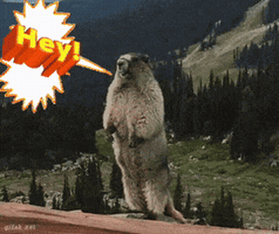 Ground Squirrel Standing Saying Hey GIF