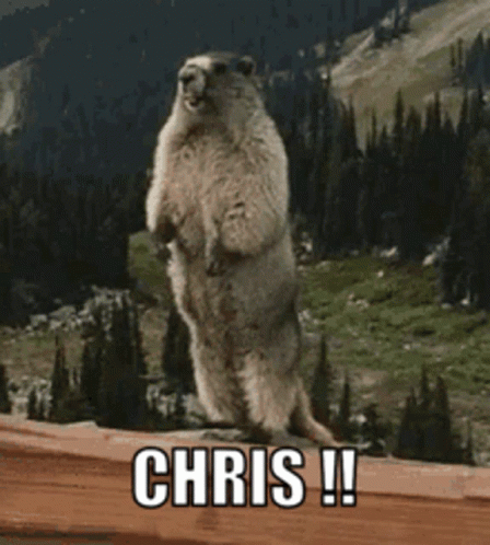 Ground Squirrel Standing With Chris GIF