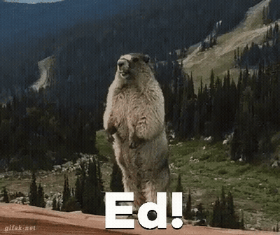 Ground Squirrel Standing With Ed GIF