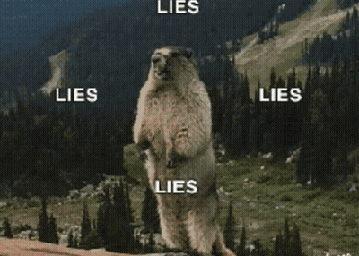Ground Squirrel Standing With Lies GIF