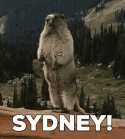 Ground Squirrel Standing With Sydney GIF