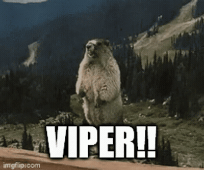 Ground Squirrel Standing With Viper GIF