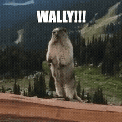 Ground Squirrel Standing With Wally GIF
