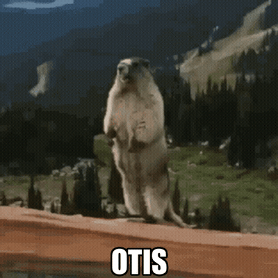 Ground Squirrel Standing With Word Otis GIF