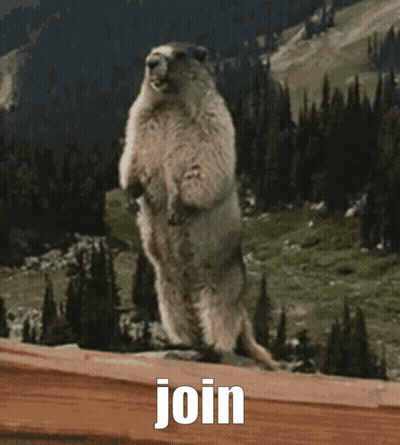 Ground Squirrel Standing With Word Raid GIF