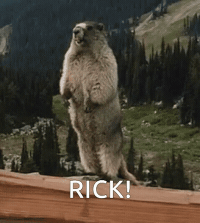 Ground Squirrel Standing With Word Rick GIF