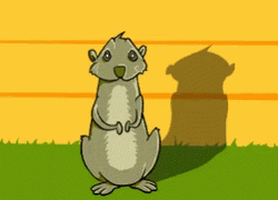 Groundhog Day Shadow Animated GIF