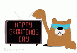 Groundhog Eyes Cover Of Scarf  GIF