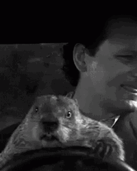 Groundhog Gopher And Boss Enjoy Ride GIF