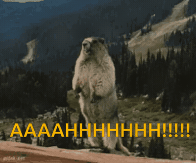 Groundhog On Hind Legs Saying Aaaahhhhhh GIF