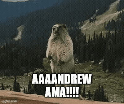 Groundhog Saying Aaa Andrew Ama GIF