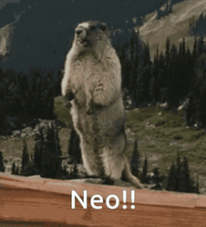 Groundhog Scream Neo GIF
