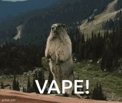 Groundhog Shouting Vape GIF